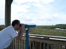 peering through the observation scope