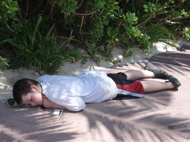 Paul rests on the pavement in the shadow of a palm tree.
