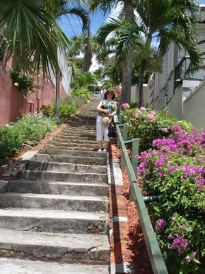 These ninety-nine steps are only a fraction of the way up and down the hill.